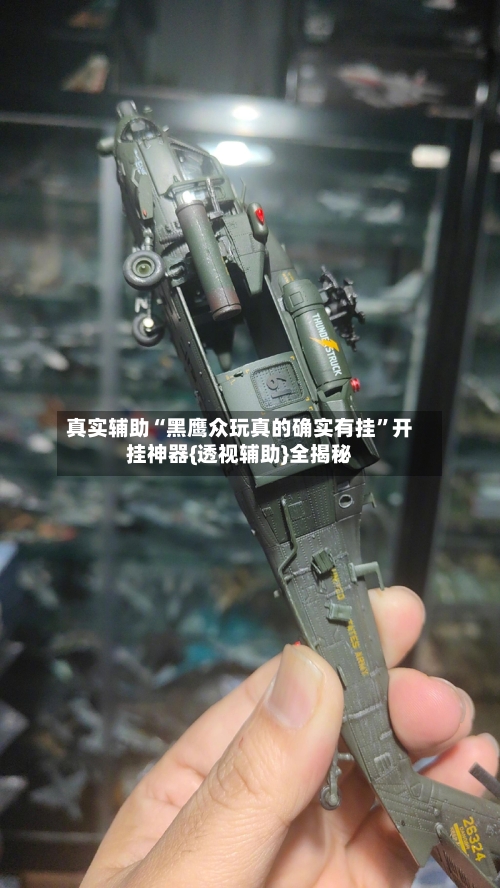 真实辅助“黑鹰众玩真的确实有挂	”开挂神器{透视辅助}全揭秘-第1张图片