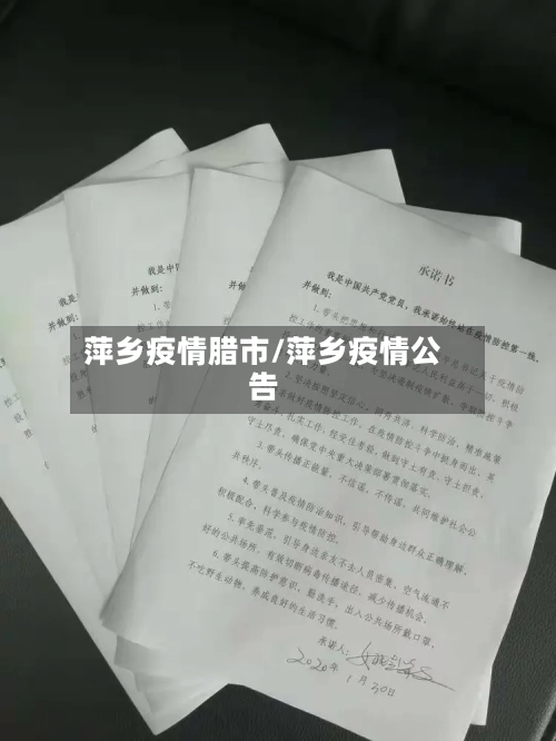 萍乡疫情腊市/萍乡疫情公告-第2张图片