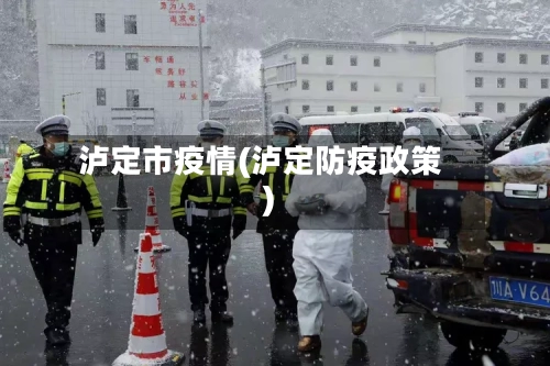 泸定市疫情(泸定防疫政策)-第1张图片