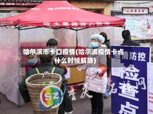 哈尔滨市卡口疫情(哈尔滨疫情卡点什么时候解除)-第2张图片