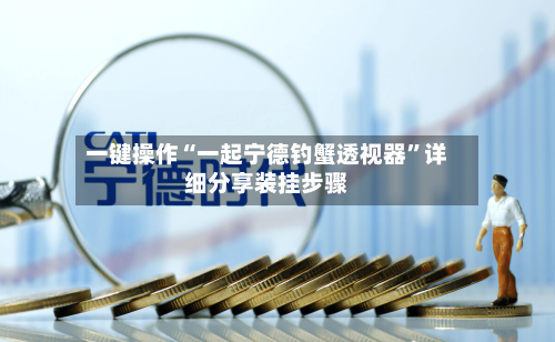 一键操作“一起宁德钓蟹透视器”详细分享装挂步骤-第1张图片