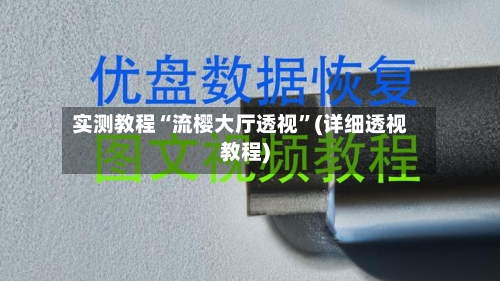 实测教程“流樱大厅透视”(详细透视教程)-第1张图片