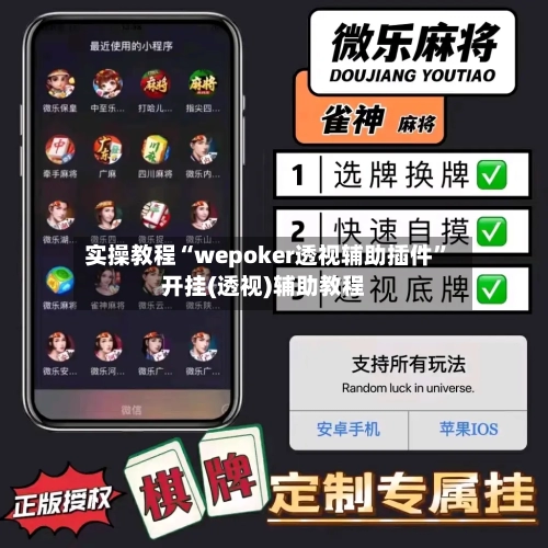 实操教程“wepoker透视辅助插件”开挂(透视)辅助教程-第1张图片