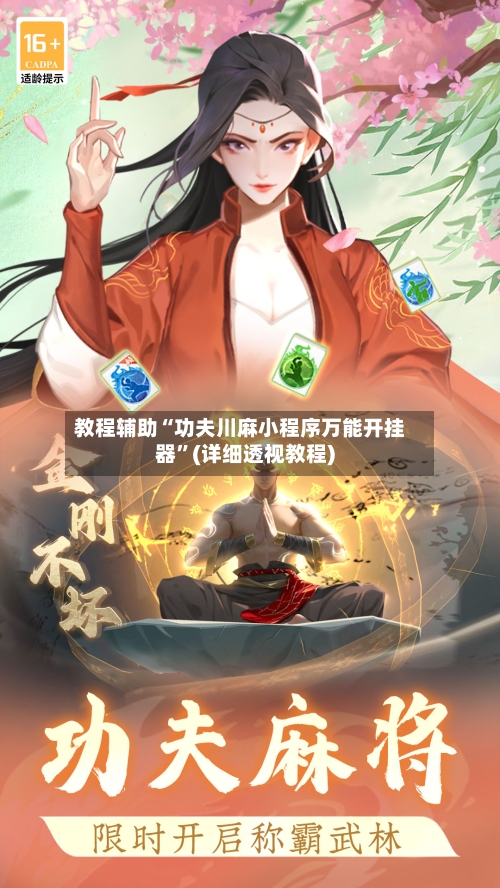 教程辅助“功夫川麻小程序万能开挂器”(详细透视教程)-第3张图片