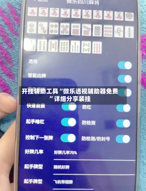 开挂辅助工具“微乐透视辅助器免费”详细分享装挂-第1张图片