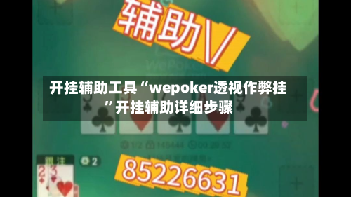 开挂辅助工具“wepoker透视作弊挂”开挂辅助详细步骤-第1张图片