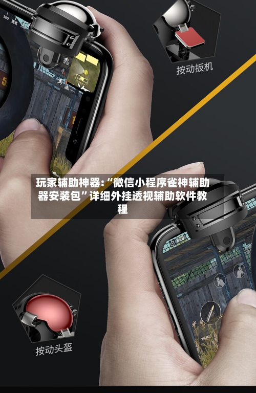 玩家辅助神器:“微信小程序雀神辅助器安装包”详细外挂透视辅助软件教程-第3张图片