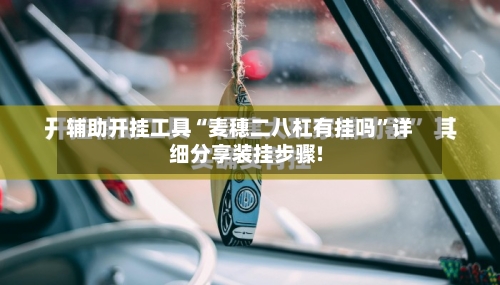 辅助开挂工具“麦穗二八杠有挂吗	”详细分享装挂步骤!-第1张图片