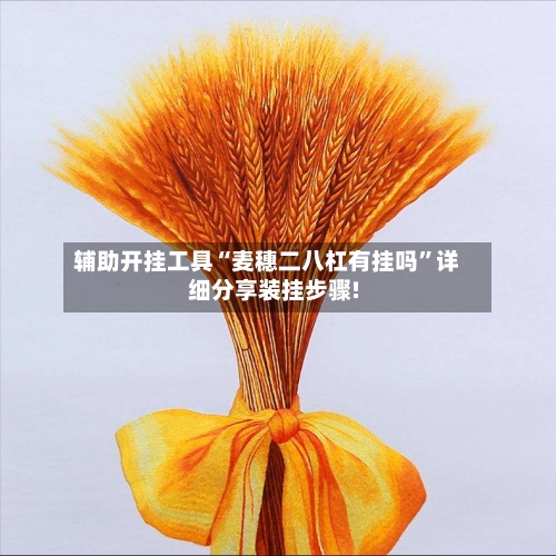 辅助开挂工具“麦穗二八杠有挂吗”详细分享装挂步骤!-第2张图片