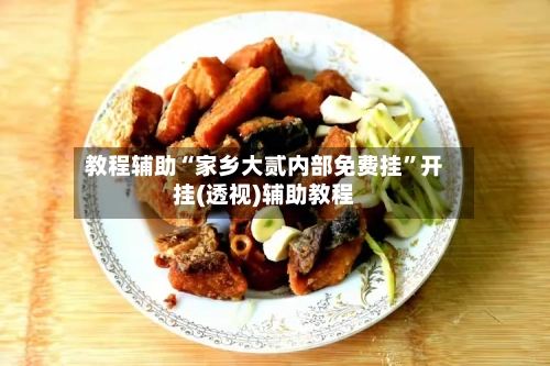 教程辅助“家乡大贰内部免费挂	”开挂(透视)辅助教程-第2张图片