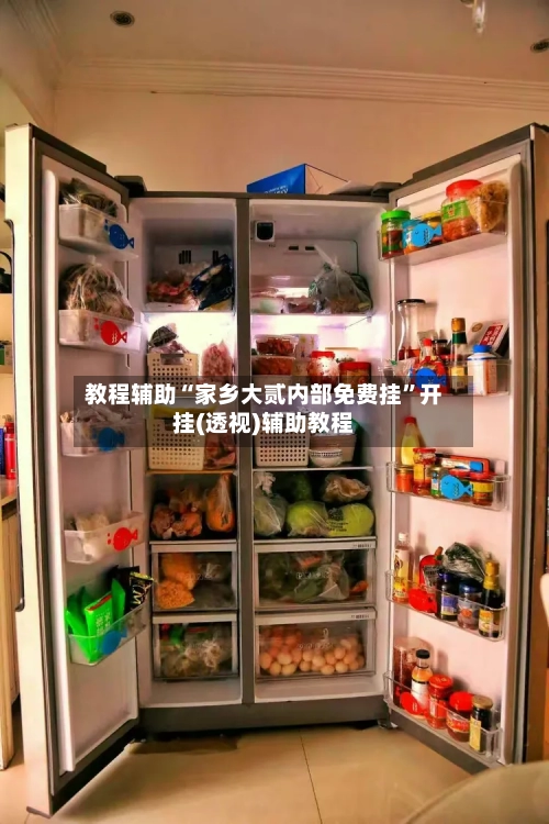 教程辅助“家乡大贰内部免费挂”开挂(透视)辅助教程-第1张图片