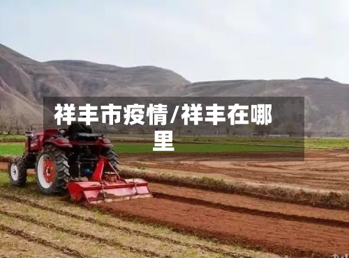 祥丰市疫情/祥丰在哪里-第2张图片