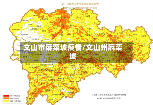 文山市麻粟坡疫情/文山州麻栗坡-第1张图片