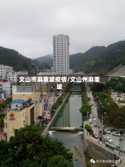文山市麻粟坡疫情/文山州麻栗坡-第2张图片