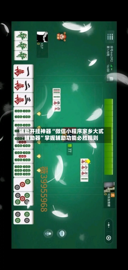 辅助开挂神器“微信小程序家乡大贰辅助器	”掌握辅助功能必胜规则-第1张图片