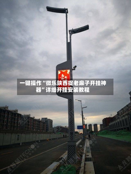 一键操作“微乐陕西捉老麻子开挂神器”详细开挂安装教程-第1张图片