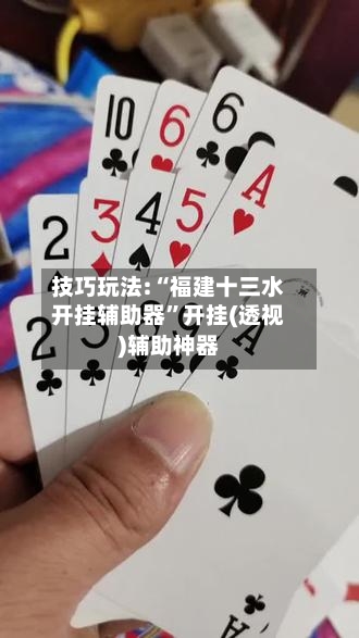 技巧玩法:“福建十三水开挂辅助器”开挂(透视)辅助神器-第3张图片