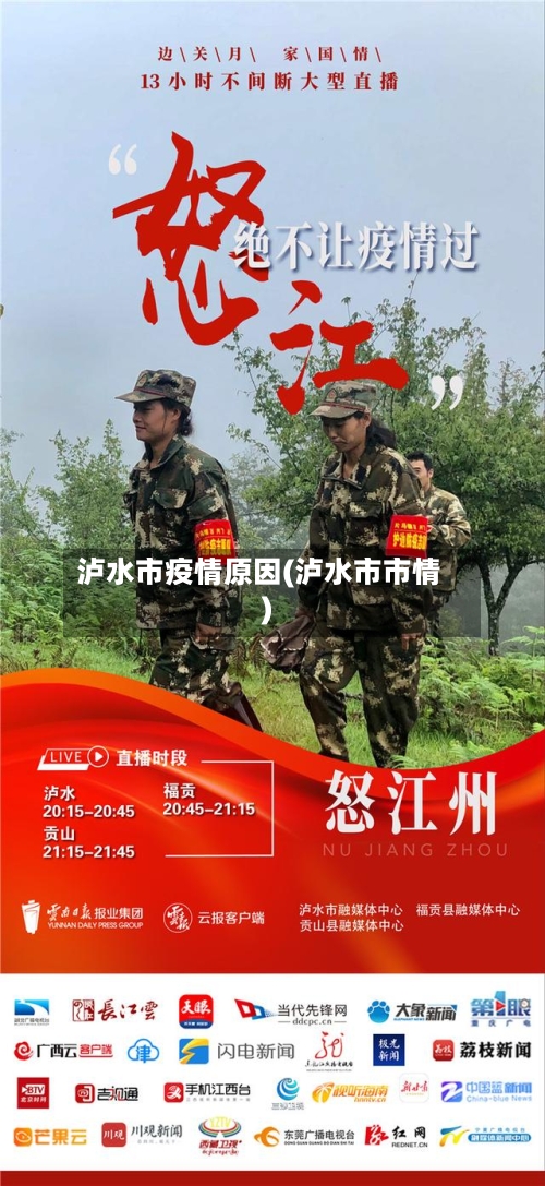 泸水市疫情原因(泸水市市情)-第1张图片