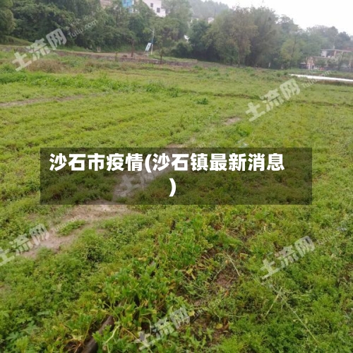 沙石市疫情(沙石镇最新消息)-第3张图片