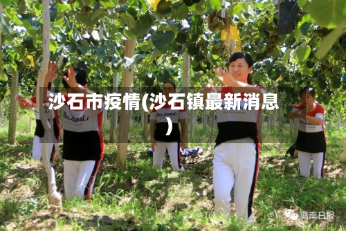 沙石市疫情(沙石镇最新消息)-第2张图片