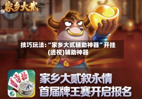 技巧玩法:“家乡大贰辅助神器	”开挂(透视)辅助神器-第2张图片