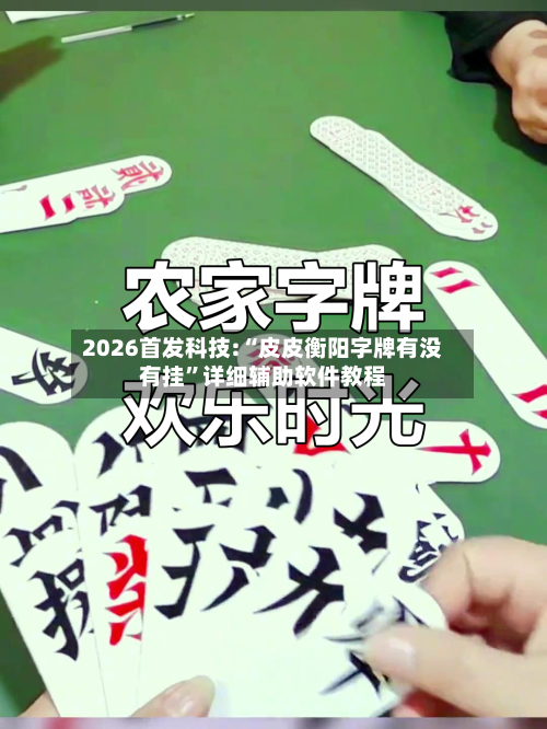 2026首发科技:“皮皮衡阳字牌有没有挂”详细辅助软件教程-第2张图片