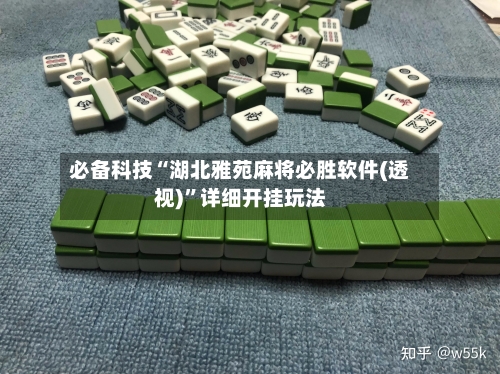 必备科技“湖北雅苑麻将必胜软件(透视)”详细开挂玩法-第1张图片
