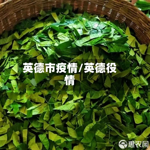 英德市疫情/英德役情-第2张图片