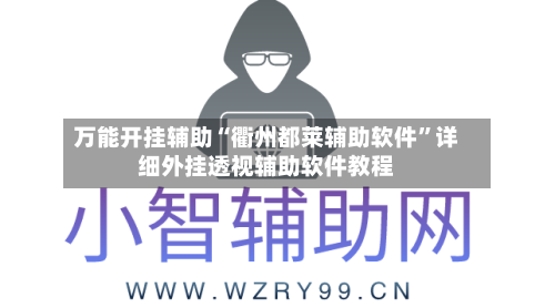 万能开挂辅助“衢州都莱辅助软件	”详细外挂透视辅助软件教程-第1张图片