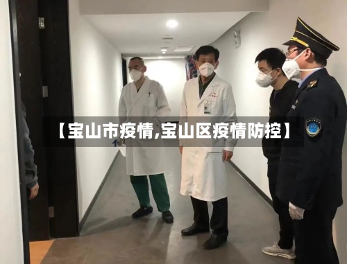 【宝山市疫情,宝山区疫情防控】-第1张图片
