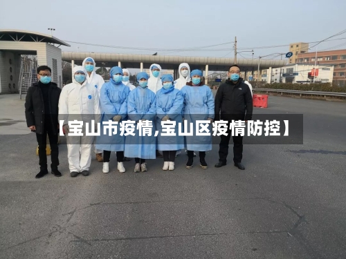 【宝山市疫情,宝山区疫情防控】-第3张图片