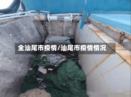 全汕尾市疫情/汕尾市疫情情况-第1张图片
