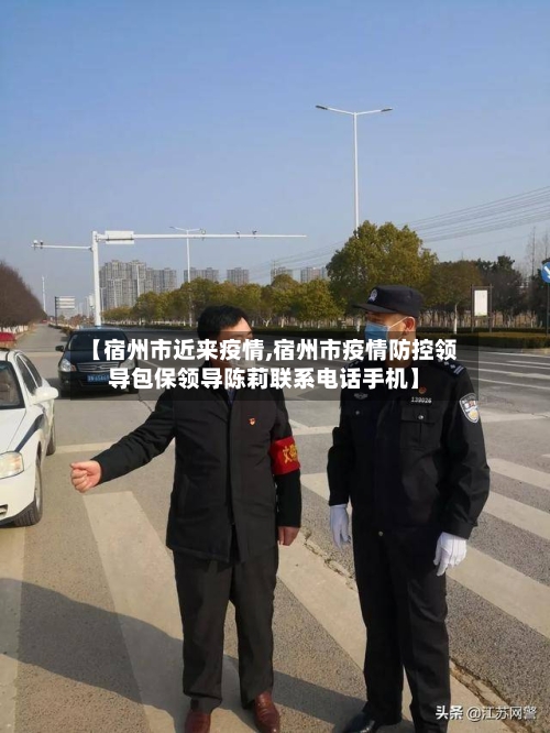 【宿州市近来疫情,宿州市疫情防控领导包保领导陈莉联系电话手机】-第2张图片