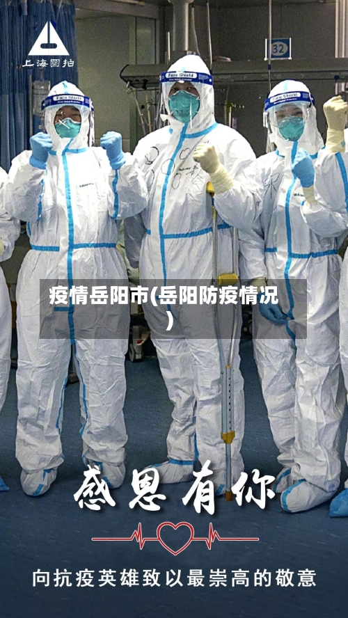 疫情岳阳市(岳阳防疫情况)-第2张图片
