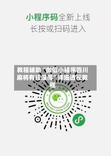 教程辅助“微信小程序四川麻将有挂没得”详细透视教程-第1张图片