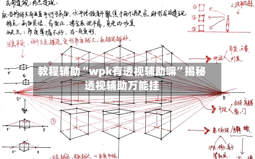 教程辅助“wpk有透视辅助嘛	”揭秘透视辅助万能挂-第2张图片