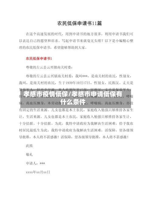 孝感市疫情低保/孝感市申请低保有什么条件-第1张图片