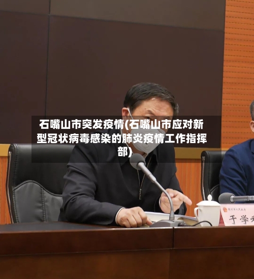 石嘴山市突发疫情(石嘴山市应对新型冠状病毒感染的肺炎疫情工作指挥部)-第3张图片