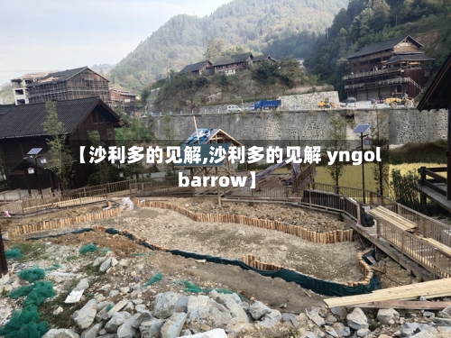 【沙利多的见解,沙利多的见解 yngol barrow】-第1张图片
