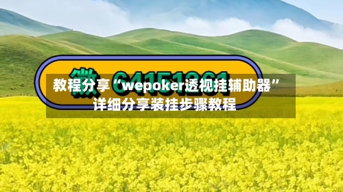 教程分享“wepoker透视挂辅助器”详细分享装挂步骤教程-第1张图片