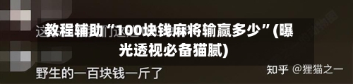 教程辅助“100块钱麻将输赢多少	”(曝光透视必备猫腻)-第1张图片
