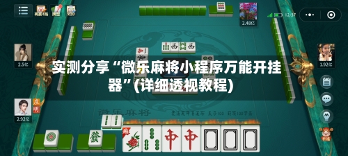 实测分享“微乐麻将小程序万能开挂器”(详细透视教程)-第3张图片