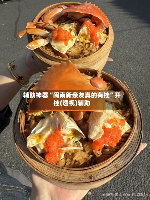 辅助神器“闽南新亲友真的有挂	”开挂(透视)辅助-第1张图片