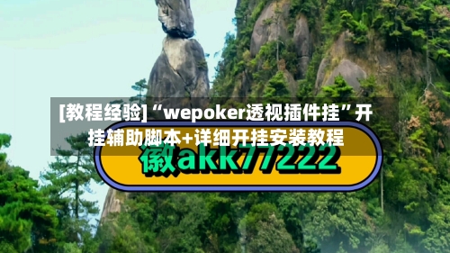 [教程经验]“wepoker透视插件挂	”开挂辅助脚本+详细开挂安装教程-第1张图片