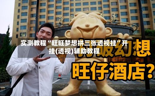 实测教程“旺旺梦想拼三张透视挂	”开挂(透视)辅助教程-第2张图片