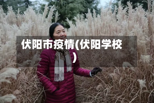 伏阳市疫情(伏阳学校)-第1张图片