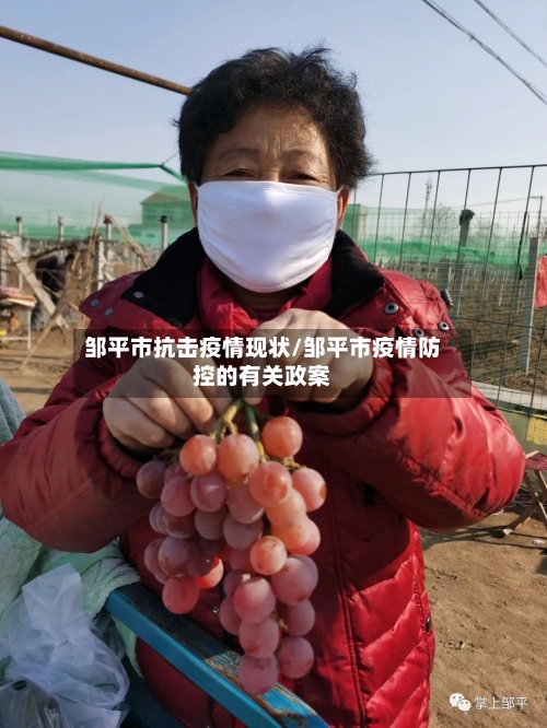 邹平市抗击疫情现状/邹平市疫情防控的有关政案-第3张图片