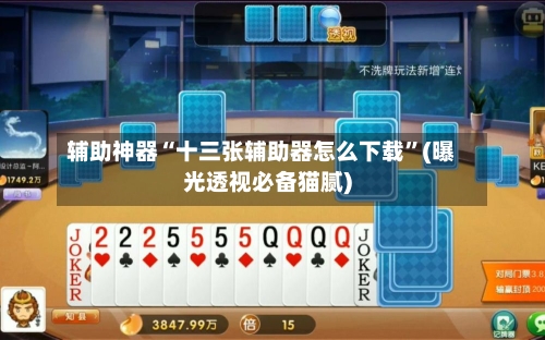 辅助神器“十三张辅助器怎么下载”(曝光透视必备猫腻)-第1张图片