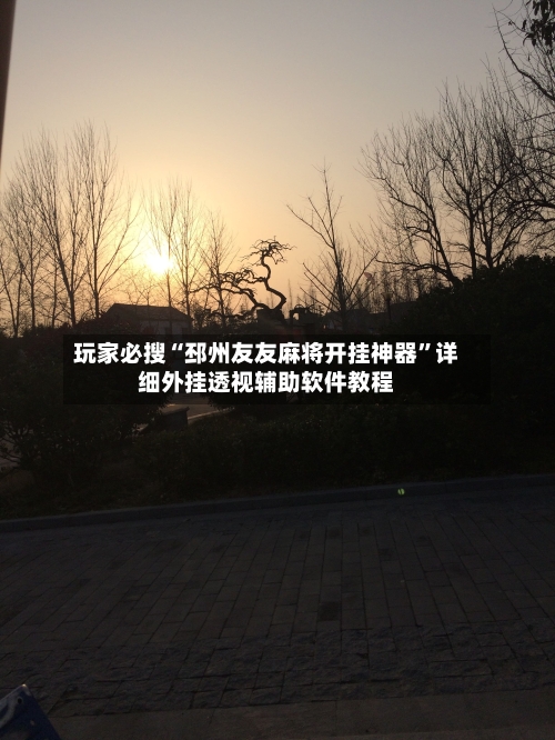 玩家必搜“邳州友友麻将开挂神器	”详细外挂透视辅助软件教程-第3张图片