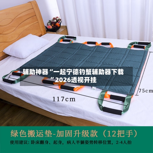辅助神器“一起宁德钓蟹辅助器下载”2026透视开挂-第3张图片